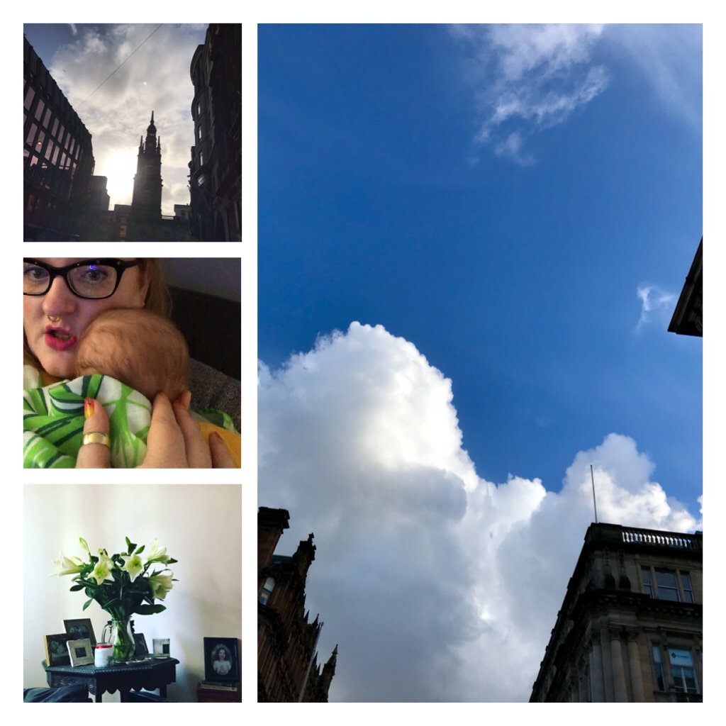 Blue sky, Glasgow, lilies