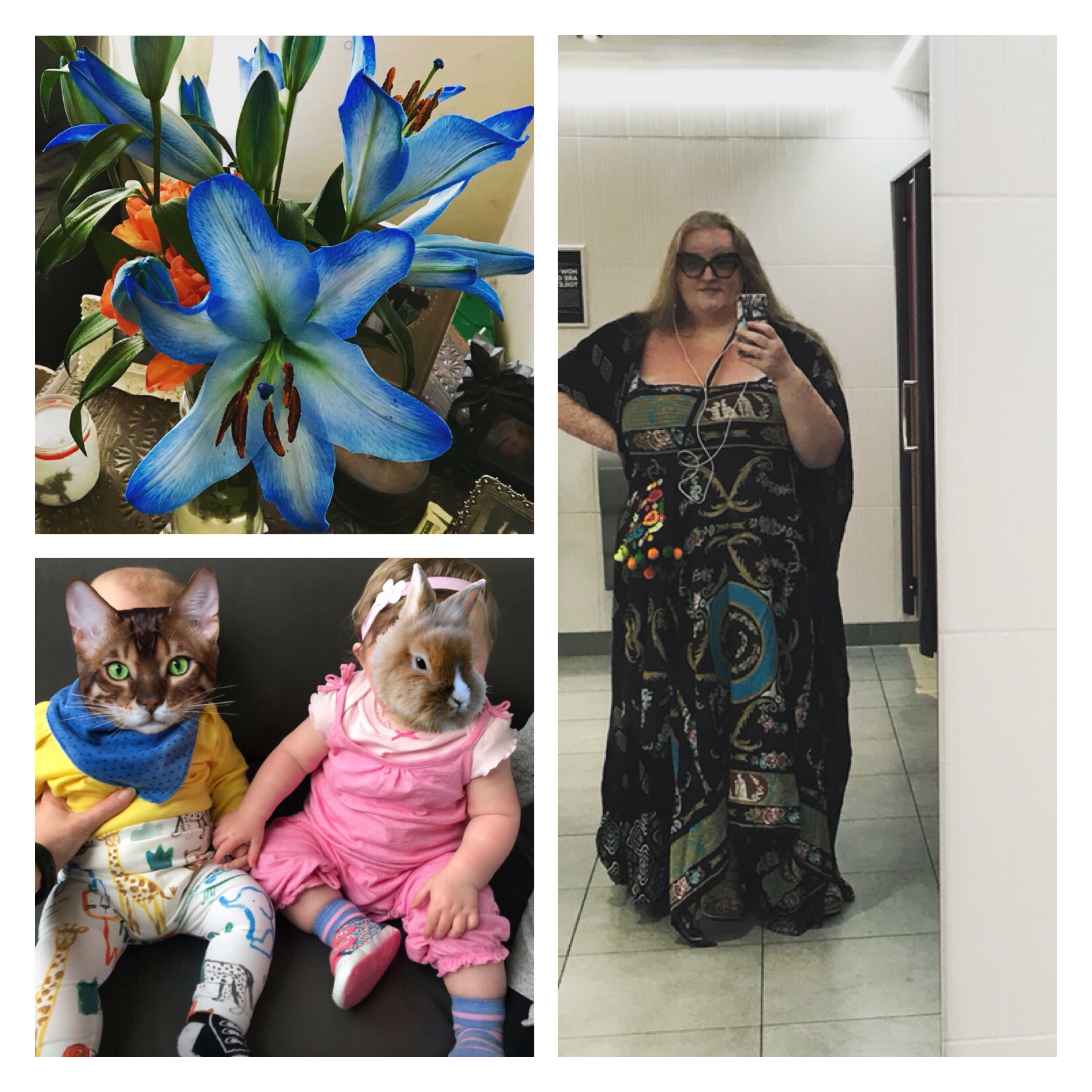 ly h Kerr, blue lilies 