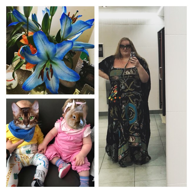 ly h Kerr, blue lilies 