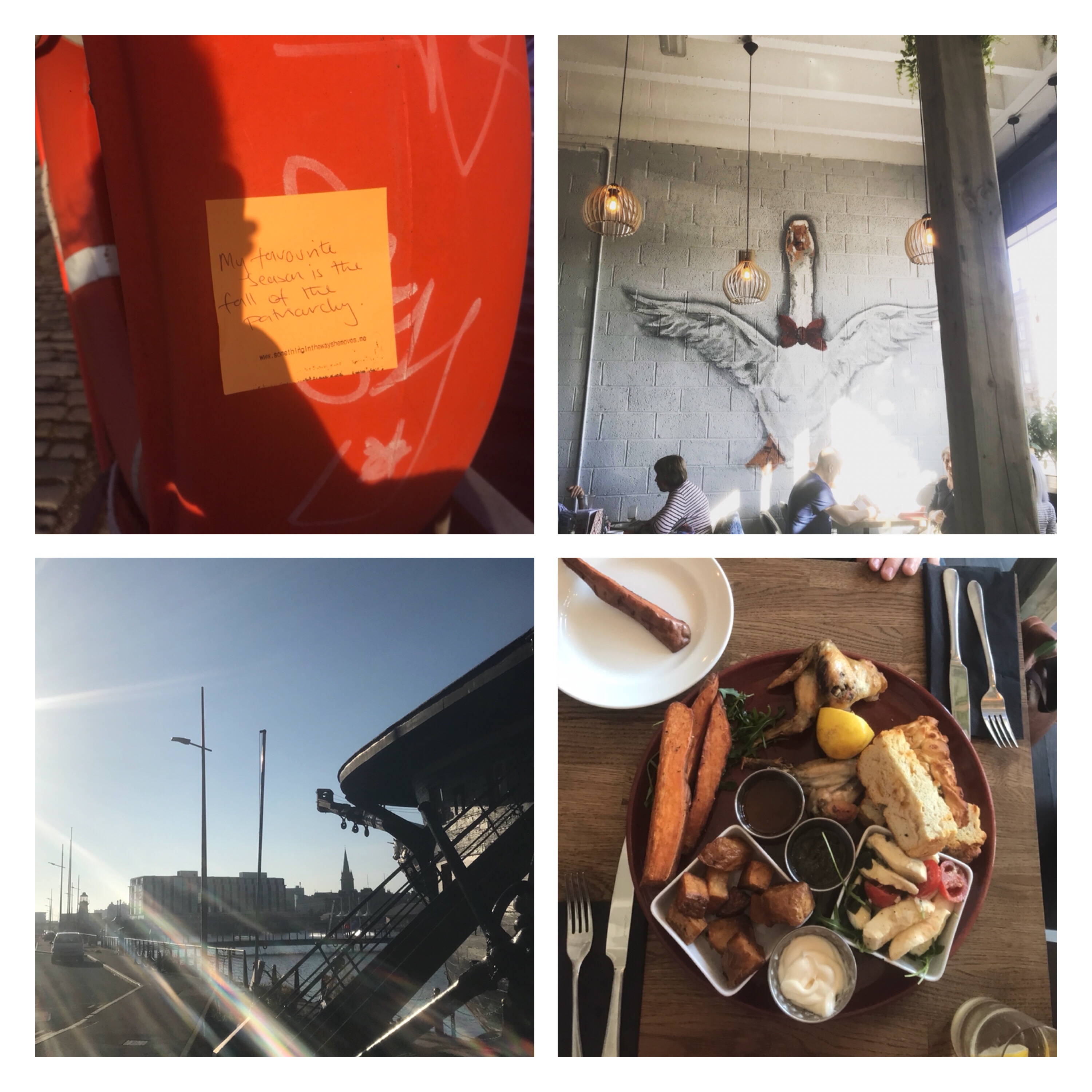 #projectpostit, white goose Dundee