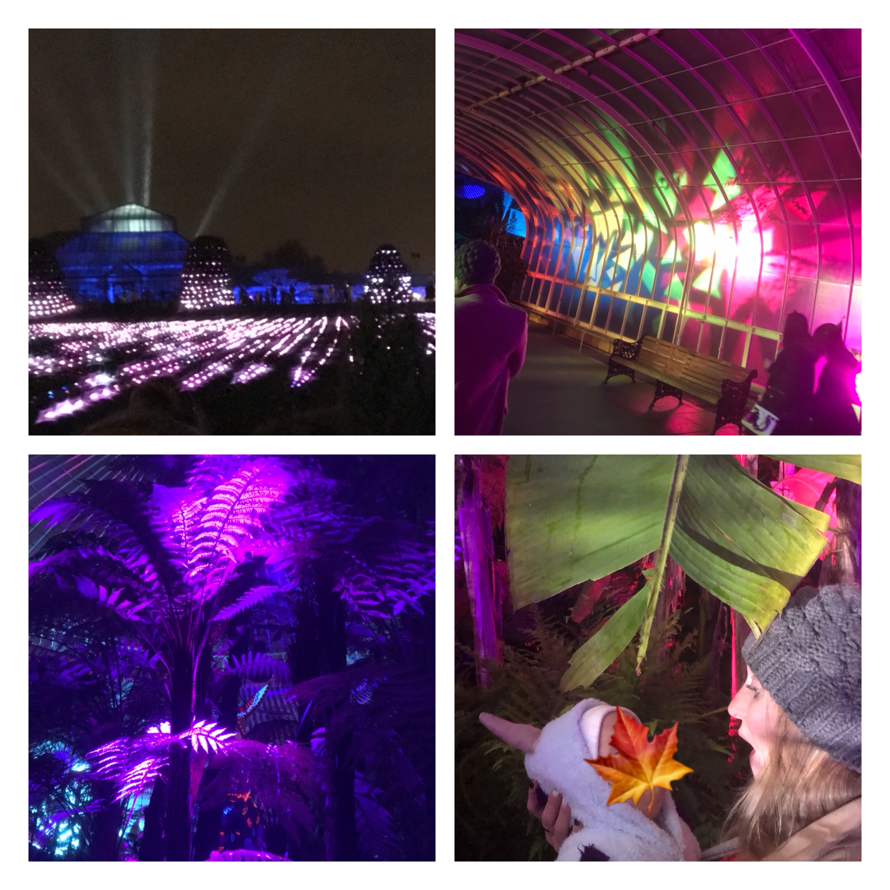 GlasGlow by ly h Kerr