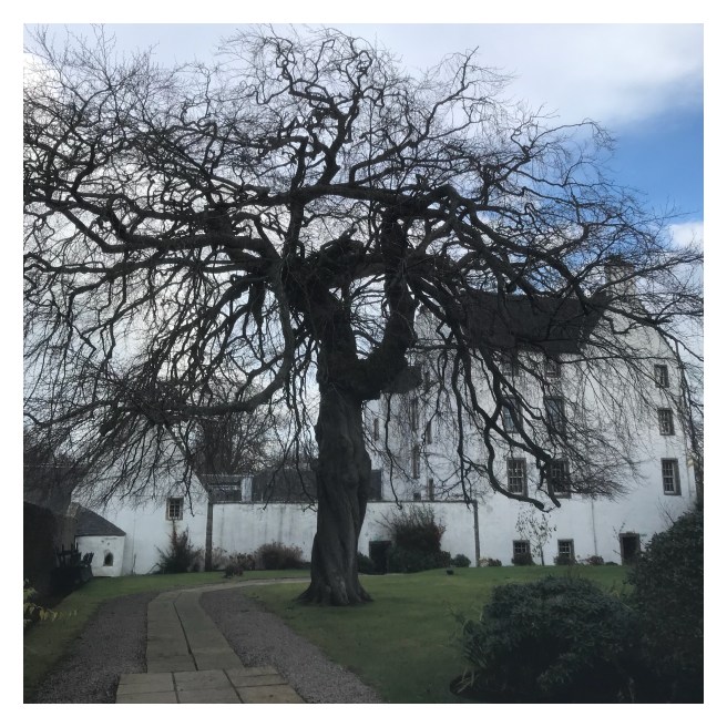 Macdonald Houstoun House