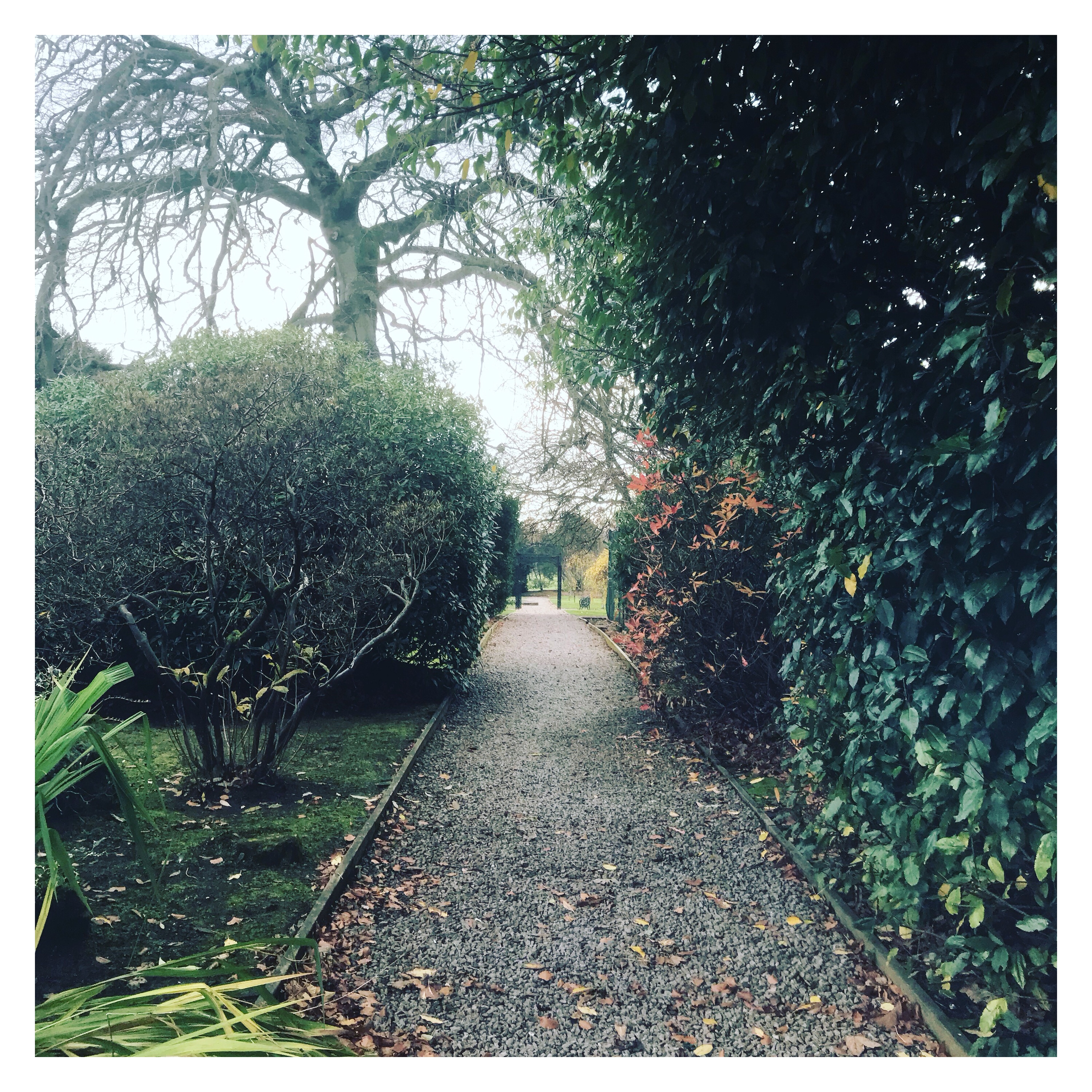 Gardens, Houstoun House