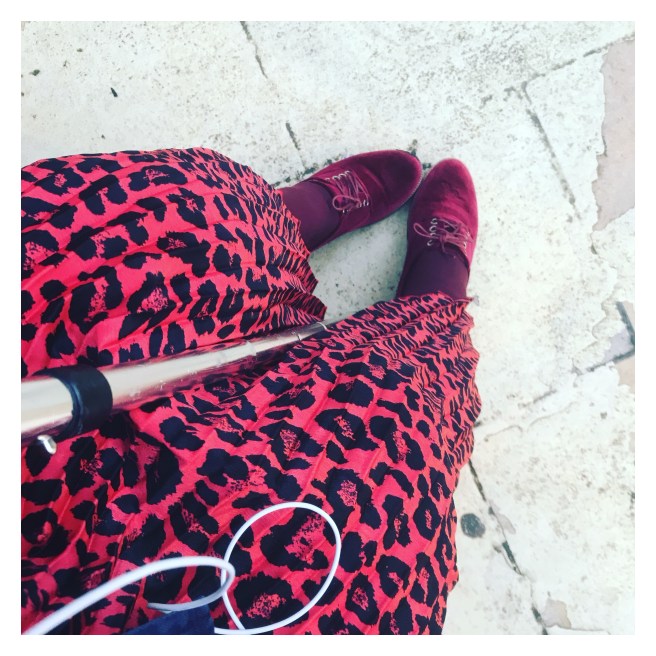 Leopard print and velvet 