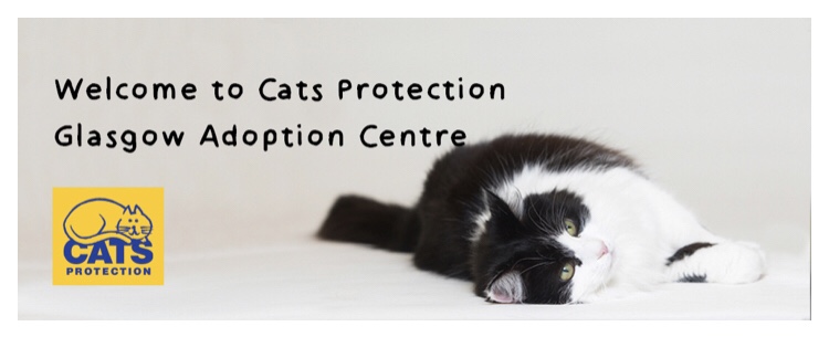 Cats Protection 