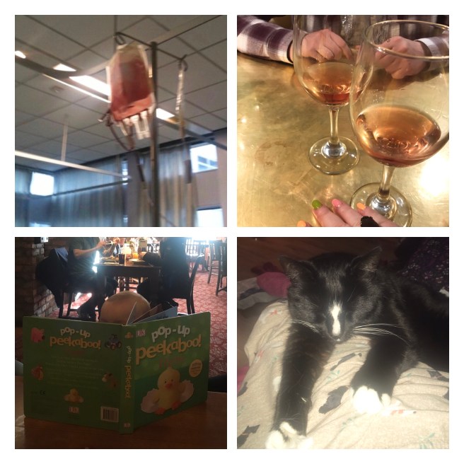 Blood transfusion, Rose wine, snuggling cat, reading baby
