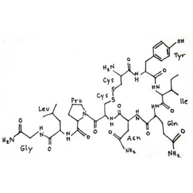 Oxytocin 