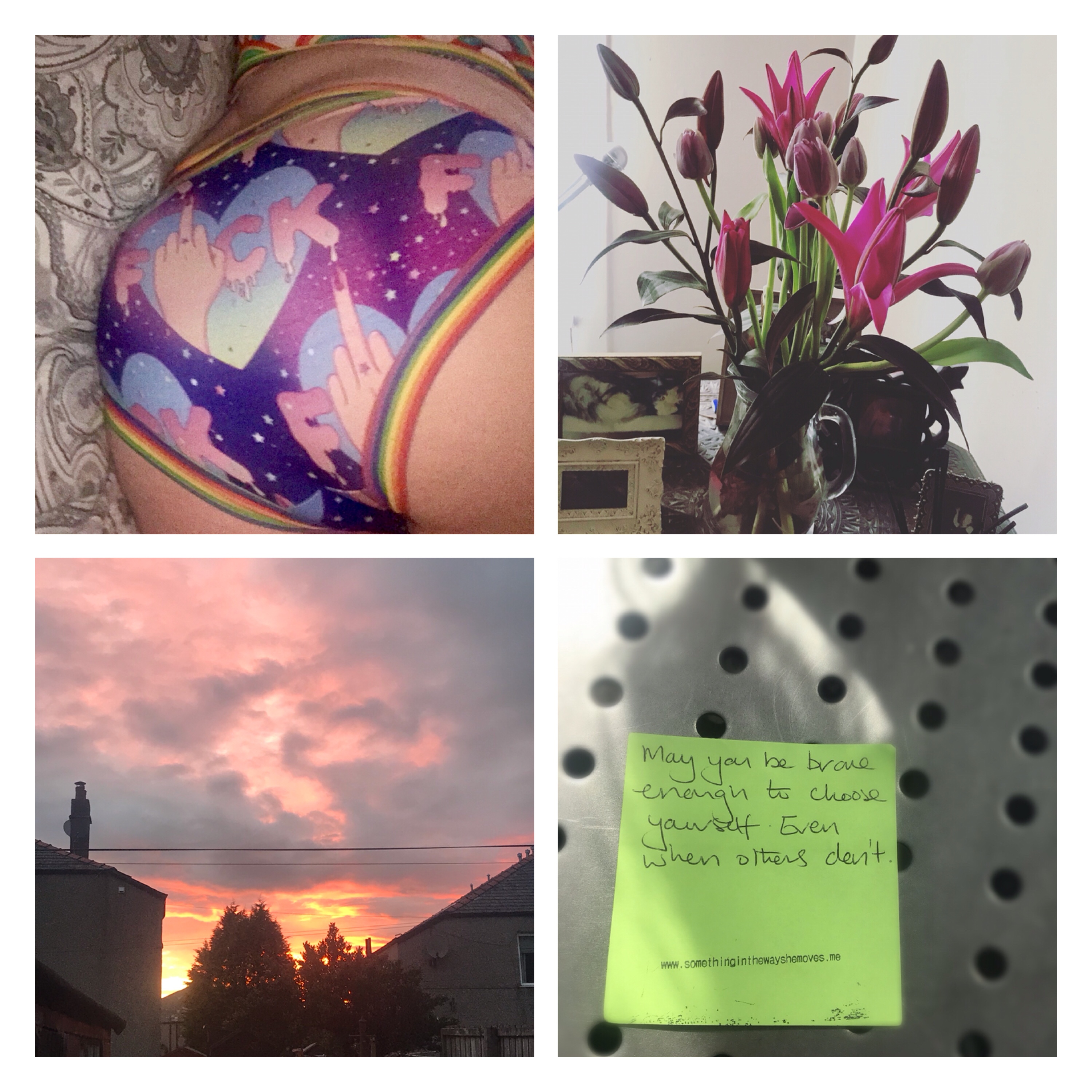 Wilde mode pants, lilies, tulips, sunset & project post it