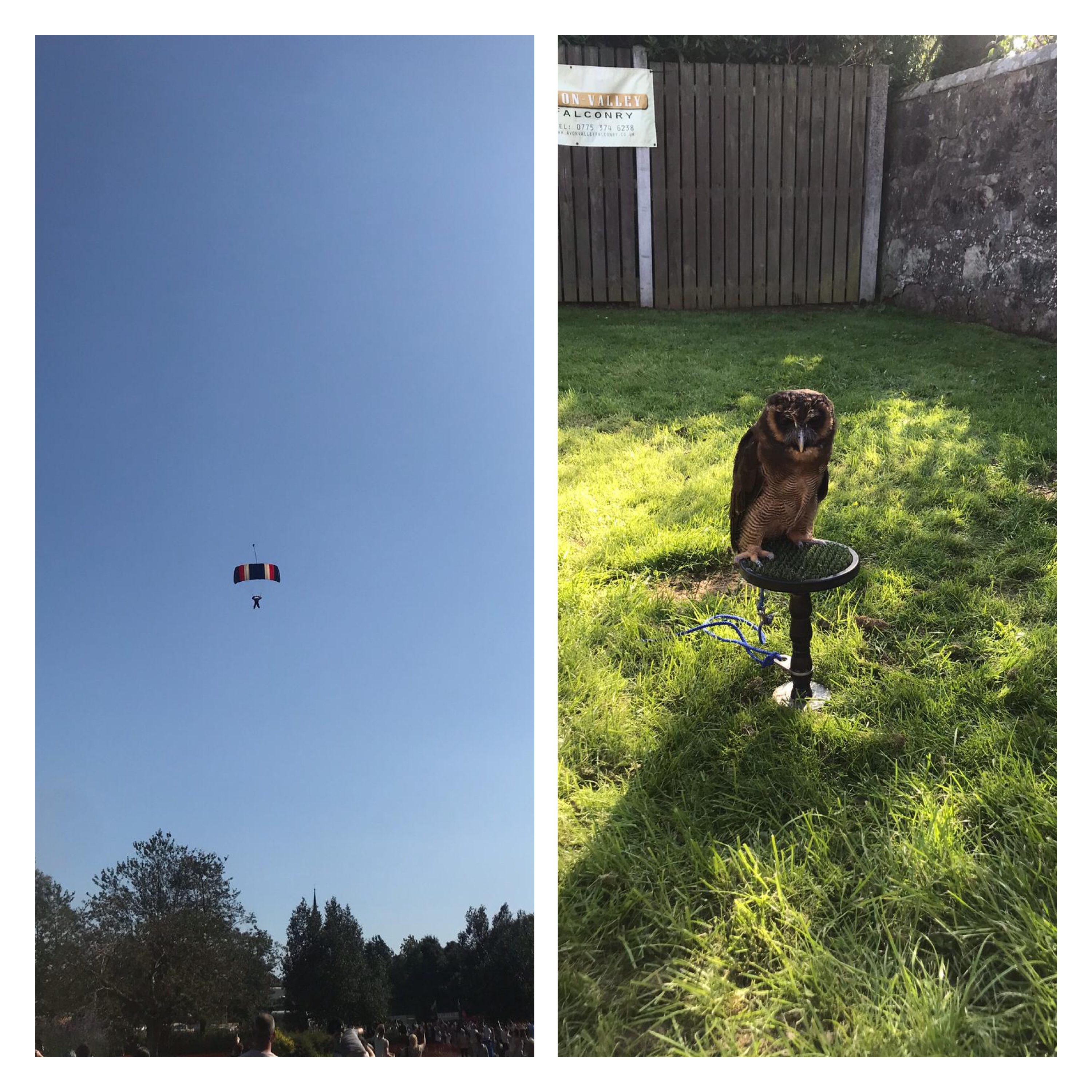 Sky diver with open parachute