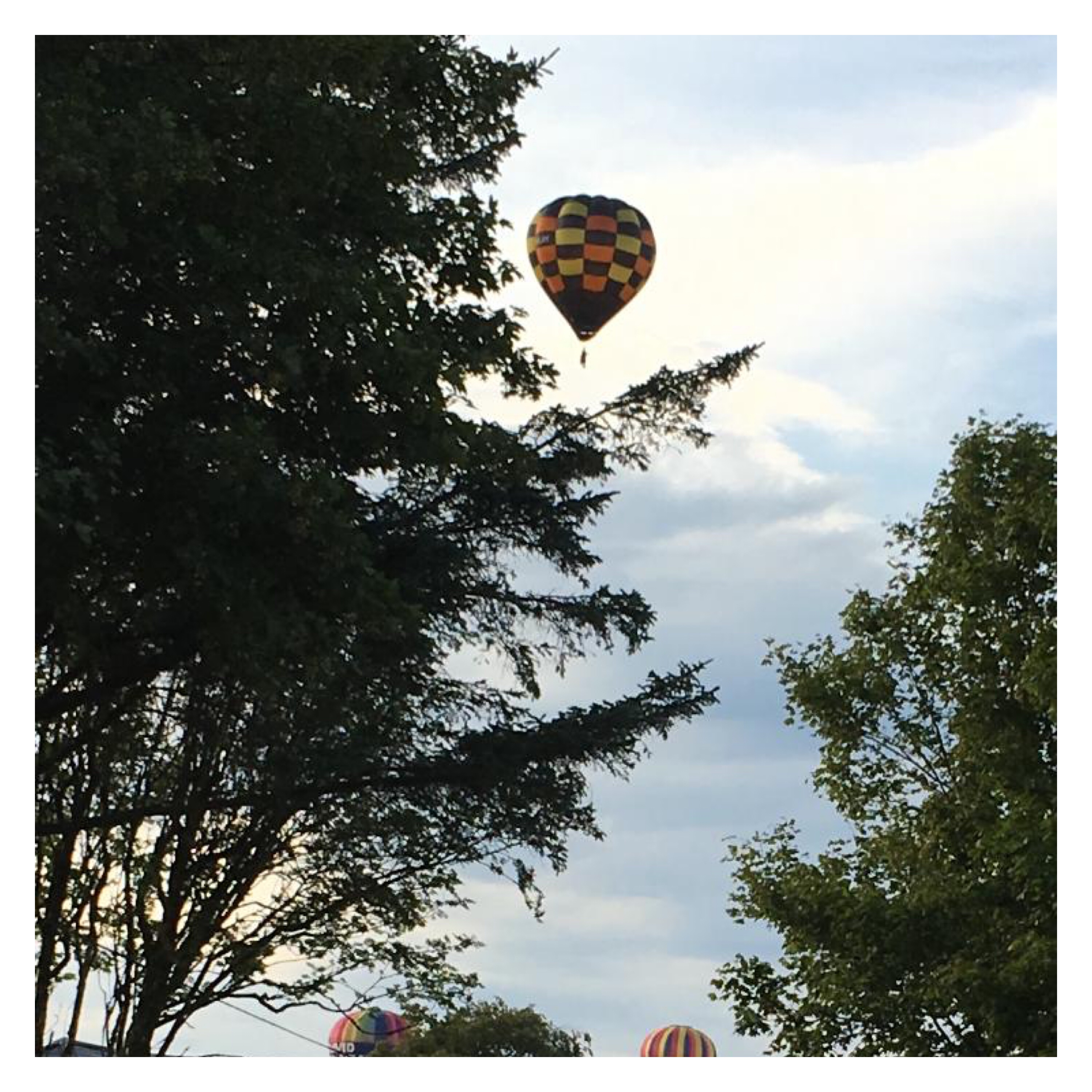 Hot air balloon in riding above trees