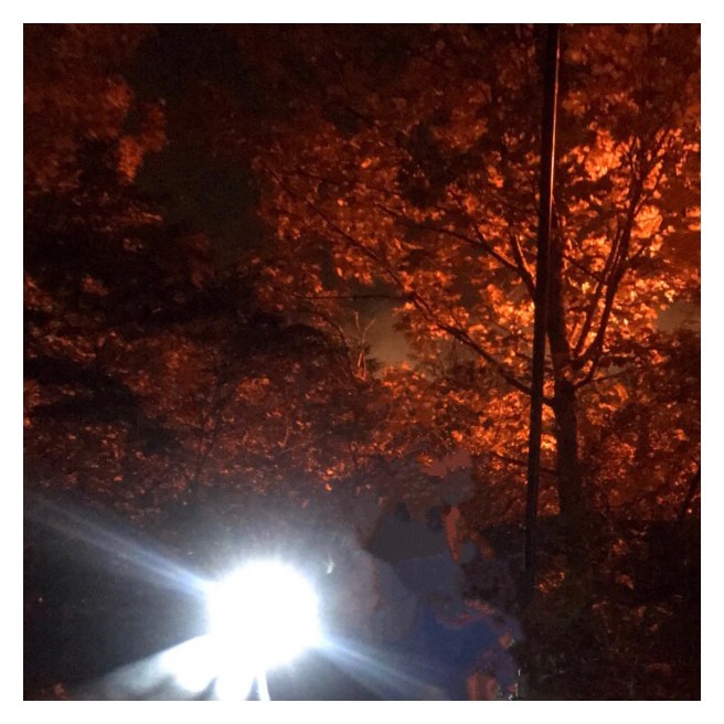 Autumn leaves in street lamp 