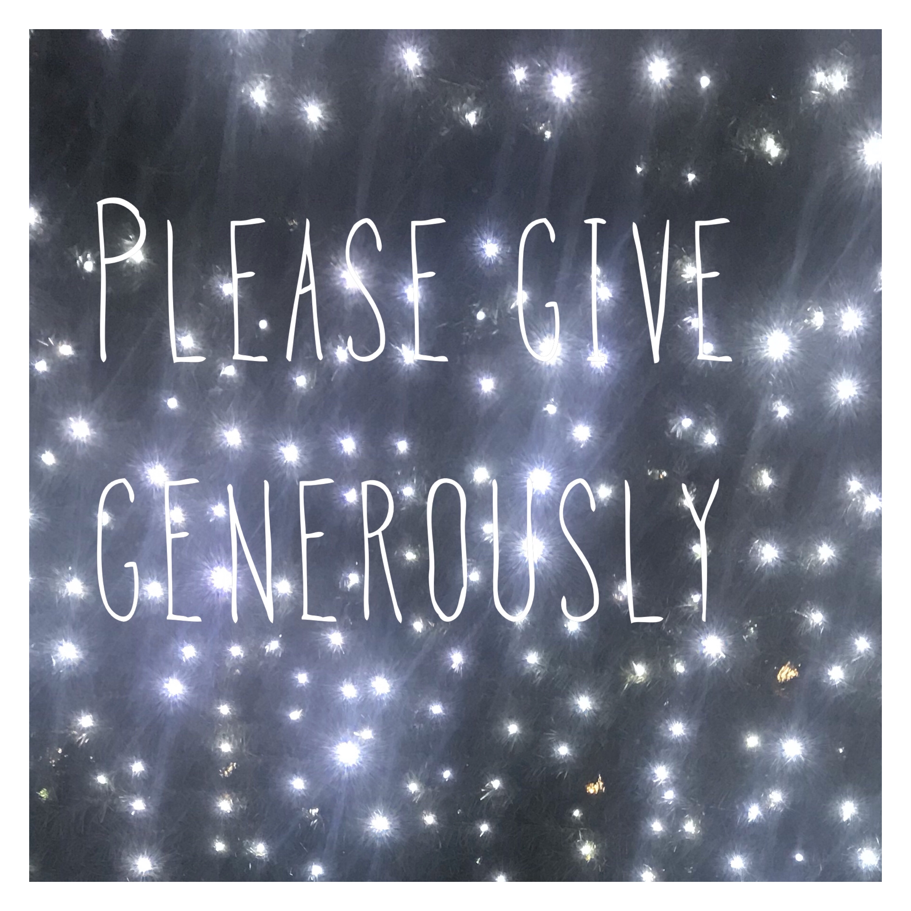 Twinkly lights with text please give generously 