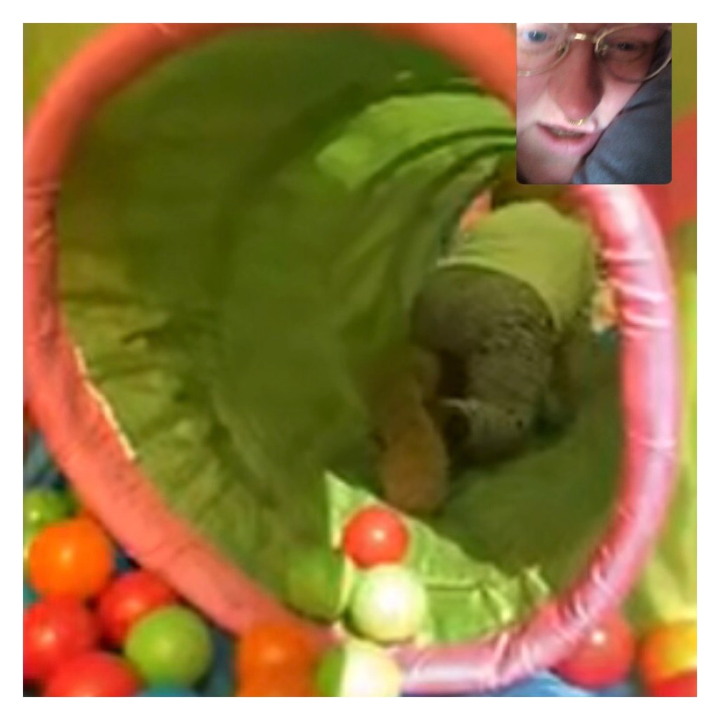 FaceTime of toddler in ball tunnel 