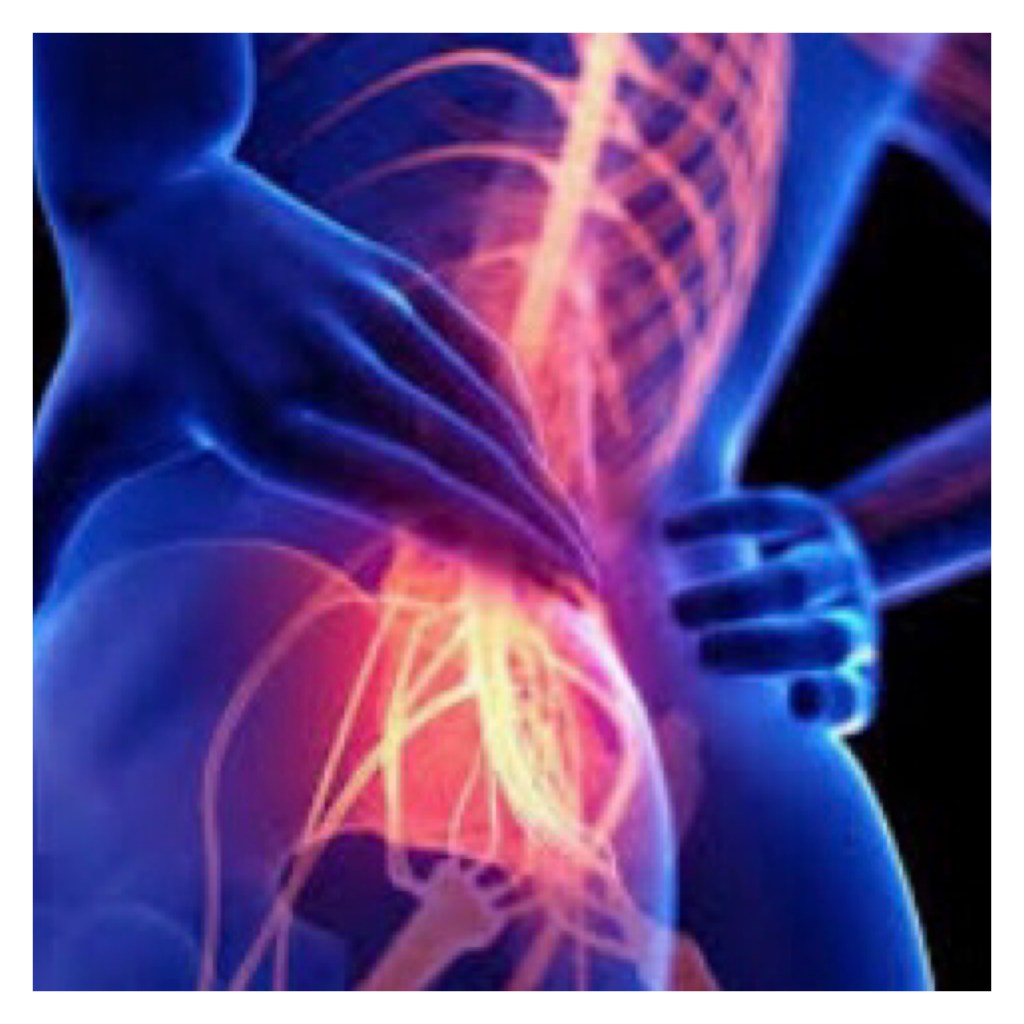 Blue body with spine lit up orange & red 