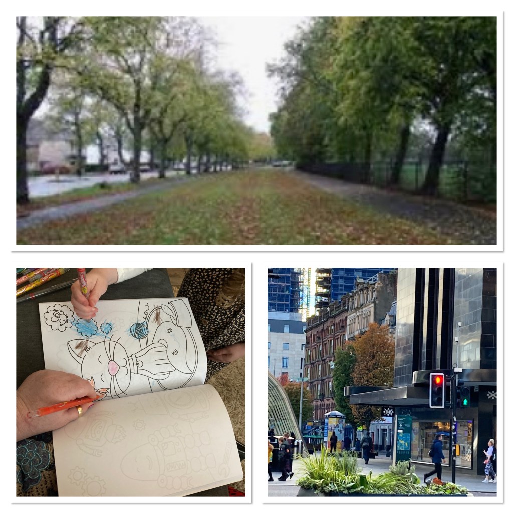 Boulevard of trees with yellow & brown leaves on the ground 